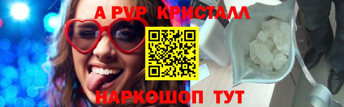A PVP СК КРИС Старая Русса