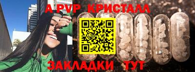 прущие грибы Заводоуковск