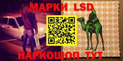 ПСИЛОЦИБИНОВЫЕ ГРИБЫ Заволжье