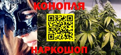прущие грибы Заводоуковск