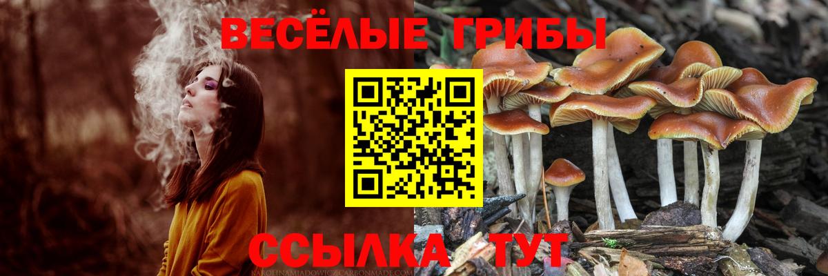 Галлюциногенные грибы MAGIC MUSHROOMS Старая Русса