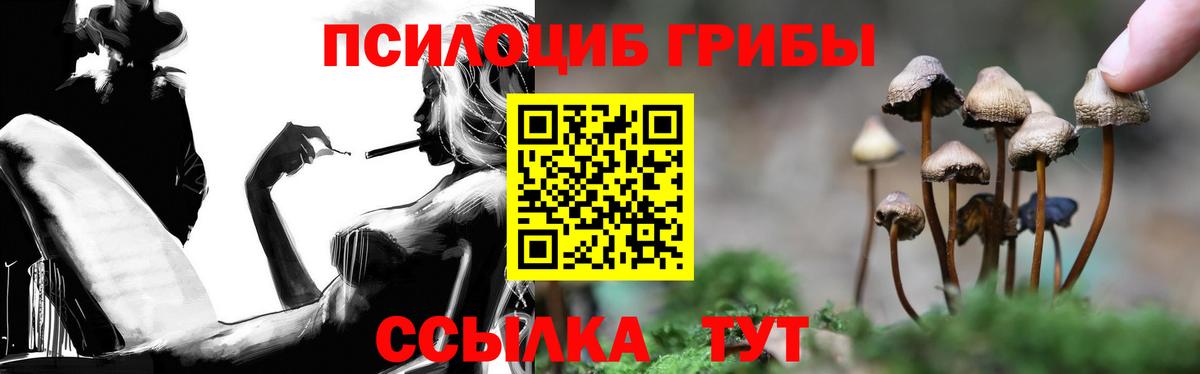 Галлюциногенные грибы GOLDEN TEACHER  Вход с VPN  Старая Русса 